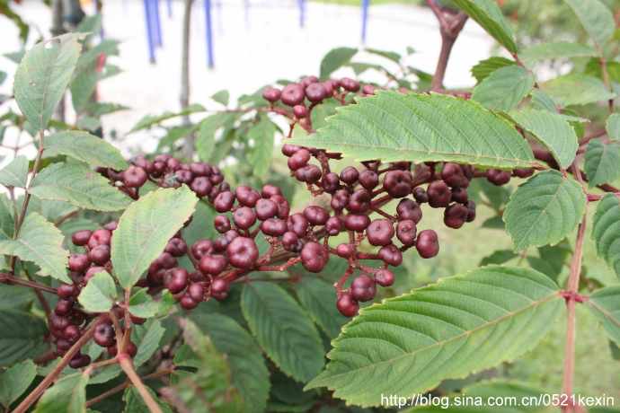 HortPark-08.jpeg HortPark 08