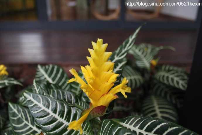 HortPark-09.jpeg HortPark 09