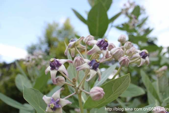 HortPark-10.jpeg HortPark 10