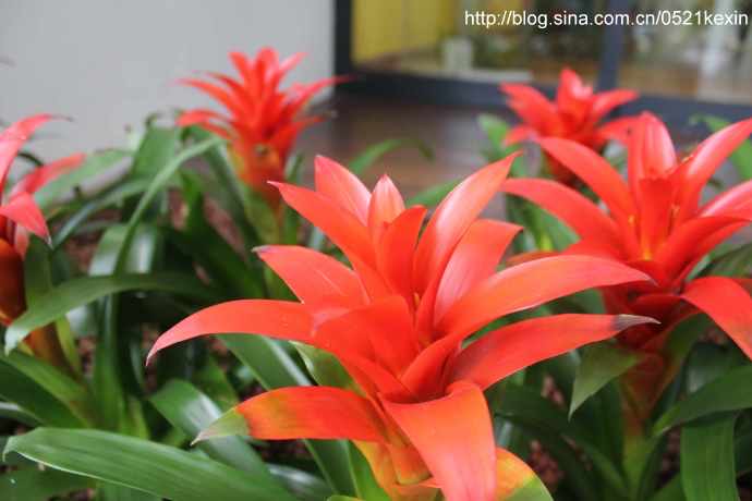 HortPark-11.jpeg HortPark 11