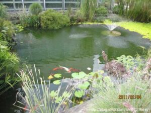 Read more about the article HortPark