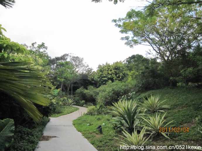 HortPark-21.jpeg HortPark 21