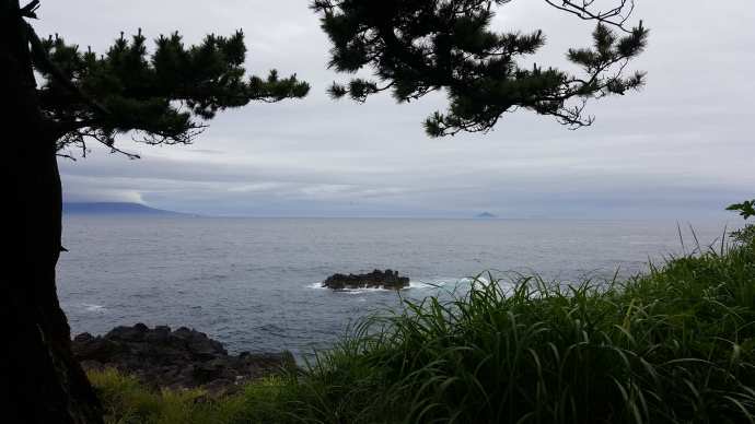 IdoFuku-016.jpeg IdoFuku 016