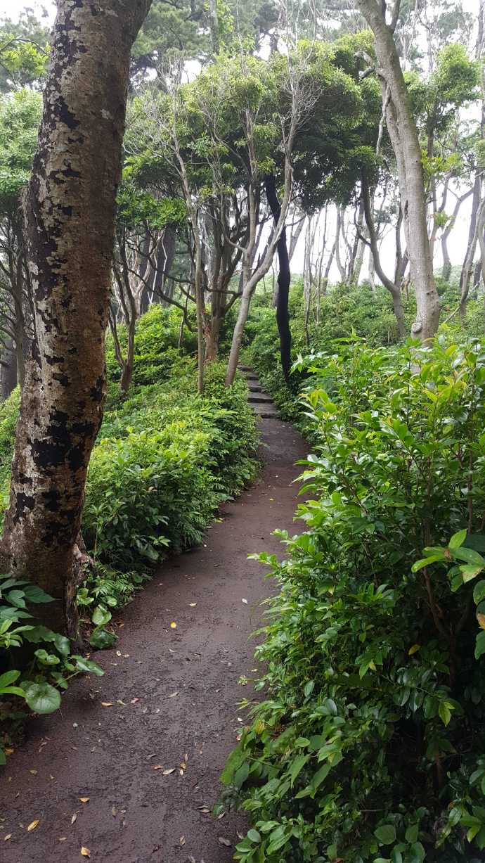 IdoFuku-025.jpeg IdoFuku 025