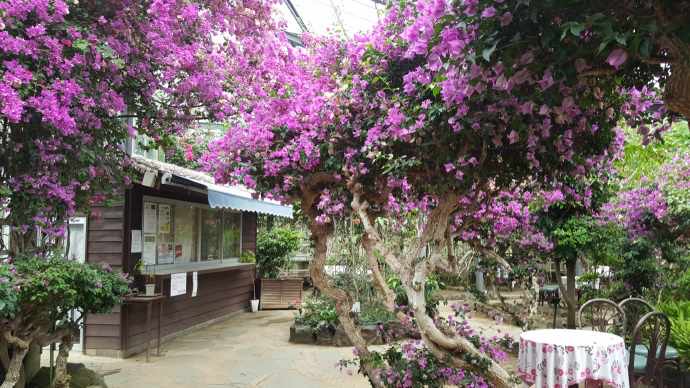 IdoFuku-028.jpeg IdoFuku 028