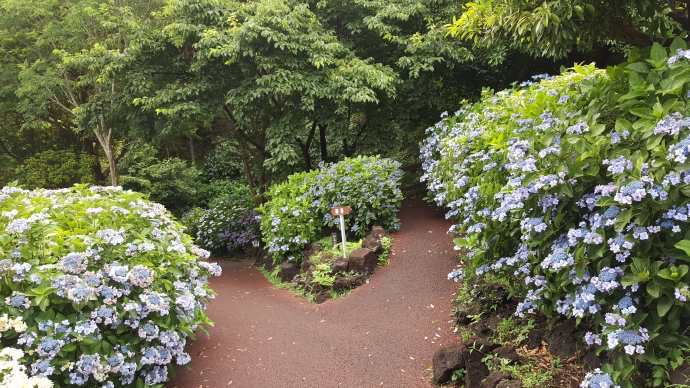 IdoFuku-029.jpeg IdoFuku 029