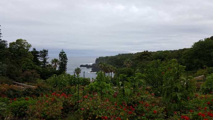 IdoFuku-030.jpeg IdoFuku 030