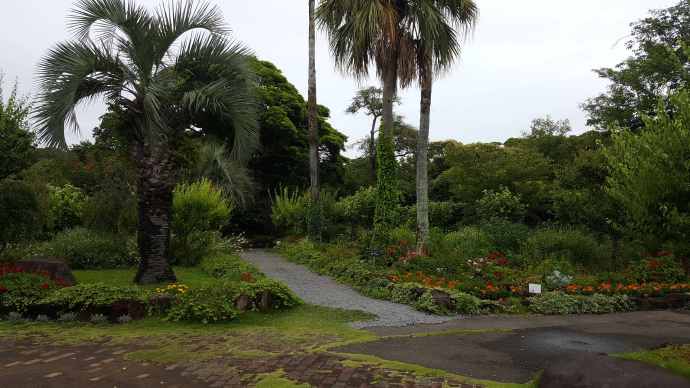 IdoFuku-033.jpeg IdoFuku 033