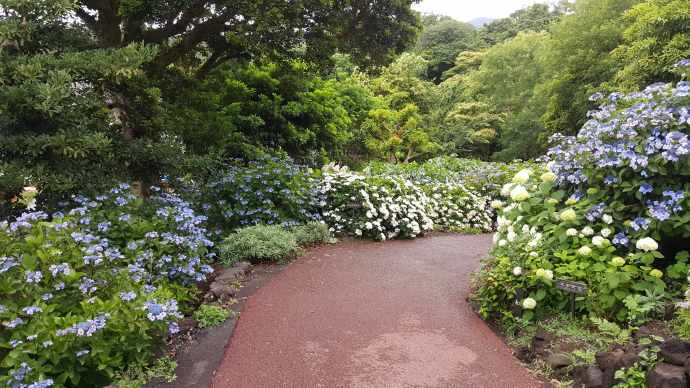 IdoFuku-034.jpeg IdoFuku 034