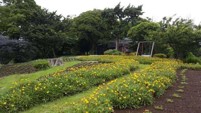 IdoFuku-035.jpeg IdoFuku 035