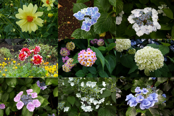 IdoFuku-036.jpeg IdoFuku 036