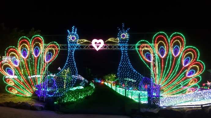 IdoFuku-042.jpeg IdoFuku 042