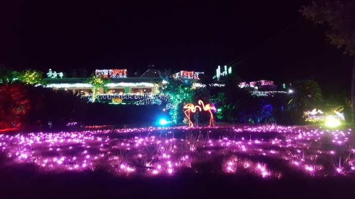 IdoFuku-043.jpeg IdoFuku 043