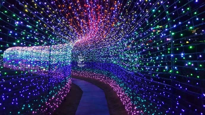 IdoFuku-045.jpeg IdoFuku 045