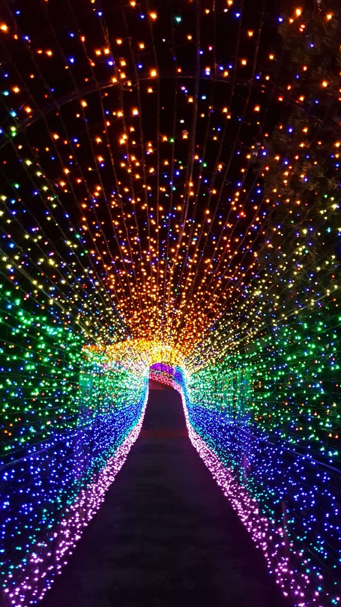 IdoFuku-048.jpeg IdoFuku 048