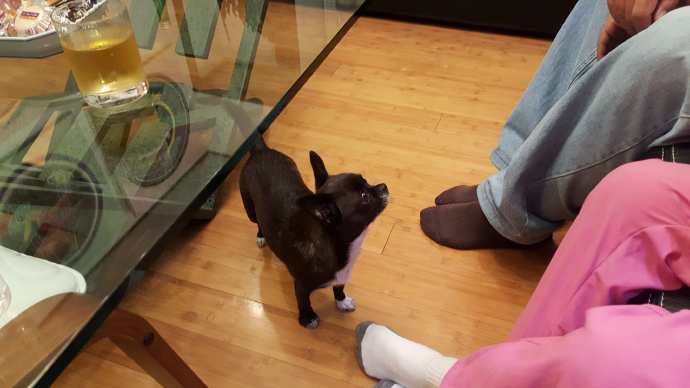 IdoFuku-051.jpeg IdoFuku 051