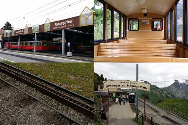 Interlaken-13.jpeg Interlaken 13