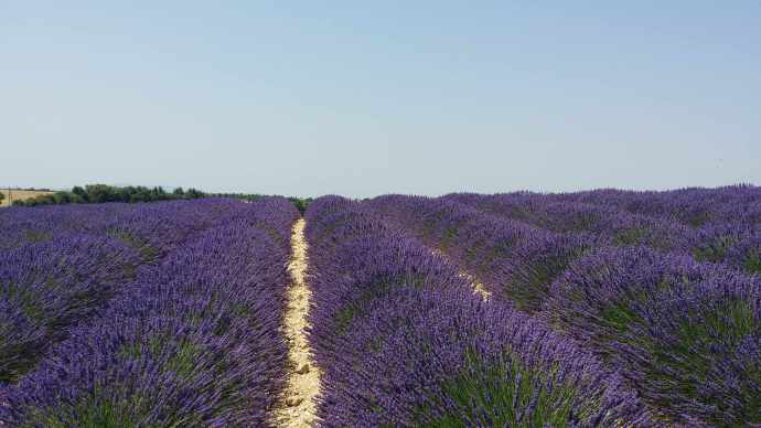 2015.07.02 法国南部（八）圣十字湖（Lac de Sainte-Croix）- 凡尔登峡谷（Verdon）