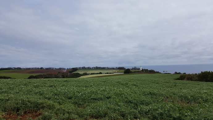 Lancheston-11.jpeg Lancheston 11