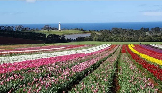 Lancheston-15.jpeg Lancheston 15