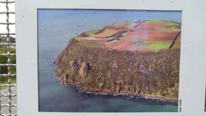 Lancheston-17.jpeg Lancheston 17