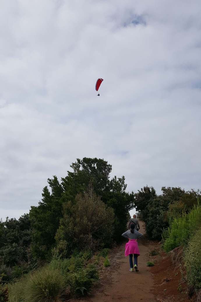 Lancheston-19.jpeg Lancheston 19