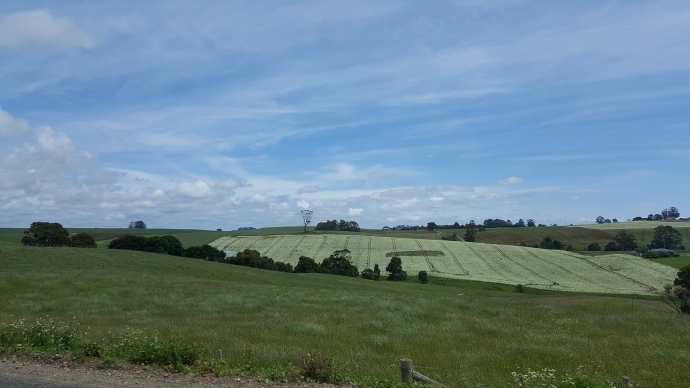 Lancheston-23.jpeg Lancheston 23