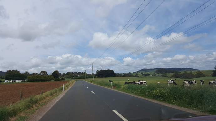 Lancheston-25.jpeg Lancheston 25