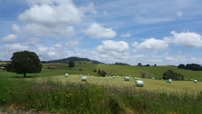 Lancheston-27.jpeg Lancheston 27