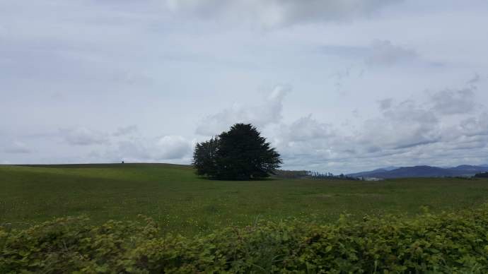 Lancheston-29.jpeg Lancheston 29