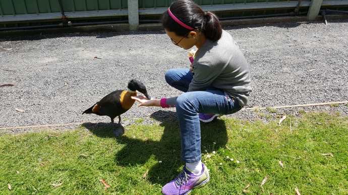 Lancheston-32.jpeg Lancheston 32