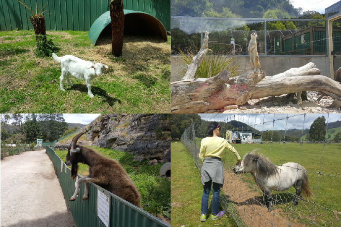 Lancheston-33.jpeg Lancheston 33