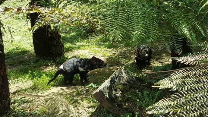 Lancheston-34.jpeg Lancheston 34