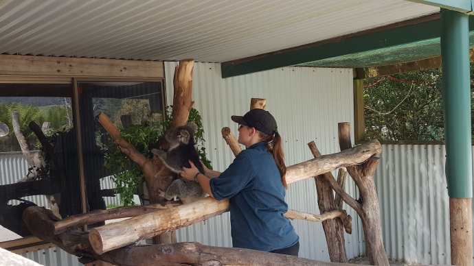 Lancheston-35.jpeg Lancheston 35