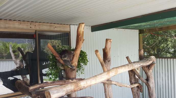 Lancheston-36.jpeg Lancheston 36