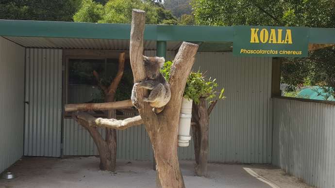 Lancheston-37.jpeg Lancheston 37