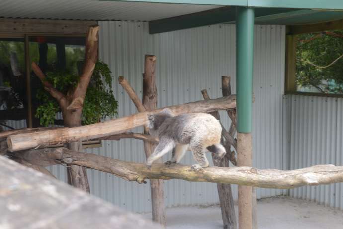 Lancheston-38.jpeg Lancheston 38