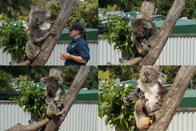 Lancheston-39.jpeg Lancheston 39