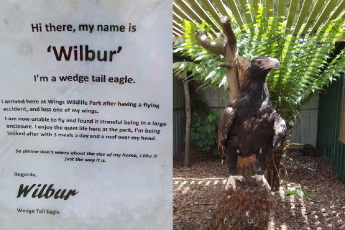 Lancheston-40.jpeg Lancheston 40