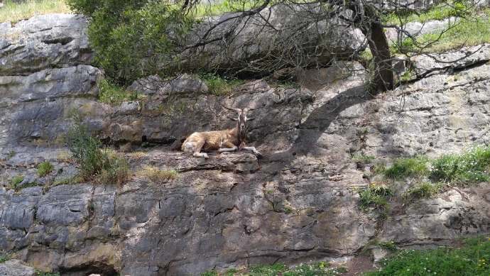 Lancheston-41.jpeg Lancheston 41