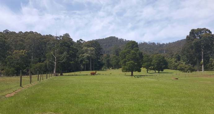 Lancheston43.jpeg Lancheston43