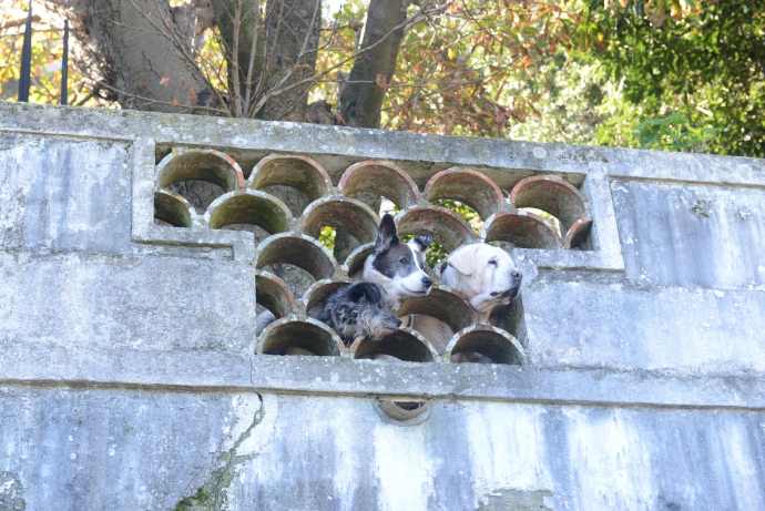 Lisbon-04.jpeg Lisbon 04