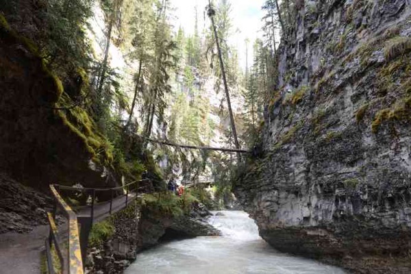 LousieLake-12.jpeg LousieLake 12