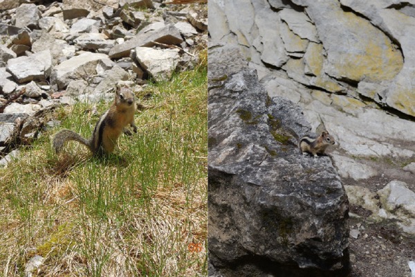 LousieLake-19.jpeg LousieLake 19