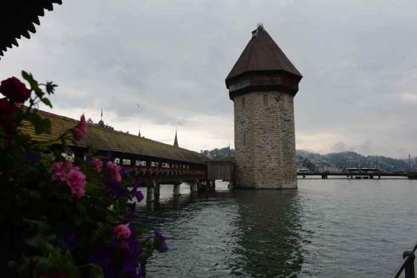 Lucerne 14