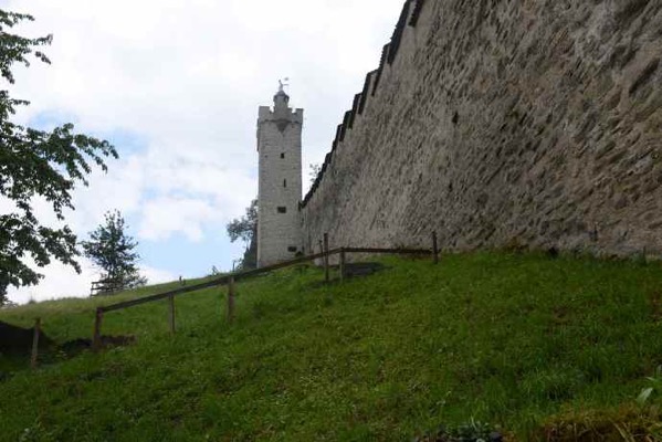 Lucerne 21