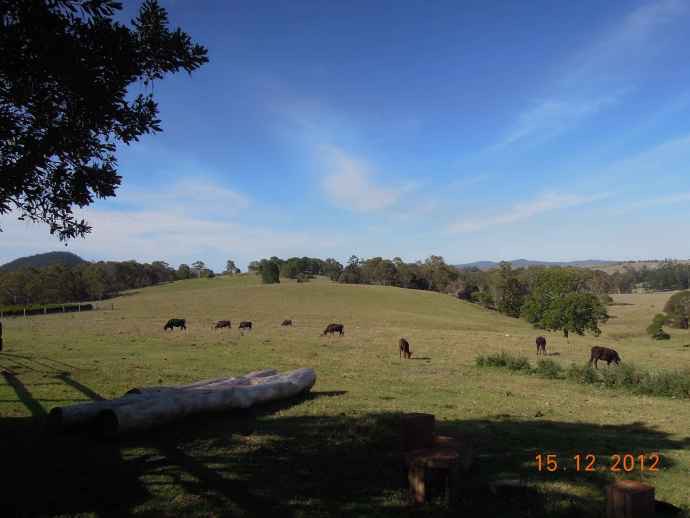 Lylidale-02.jpeg Lylidale 02