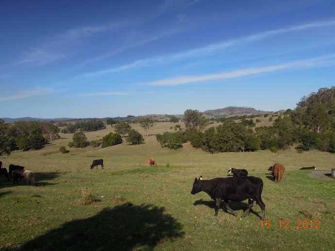 Lylidale-03.jpeg Lylidale 03