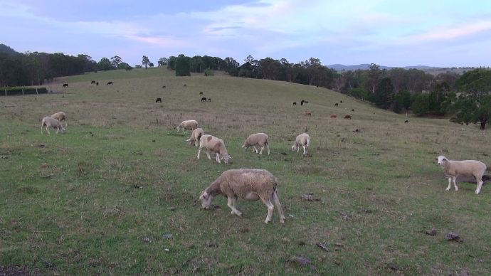 Lylidale-04.jpeg Lylidale 04