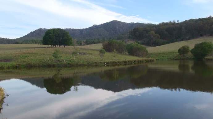 Lylidale-05.jpeg Lylidale 05